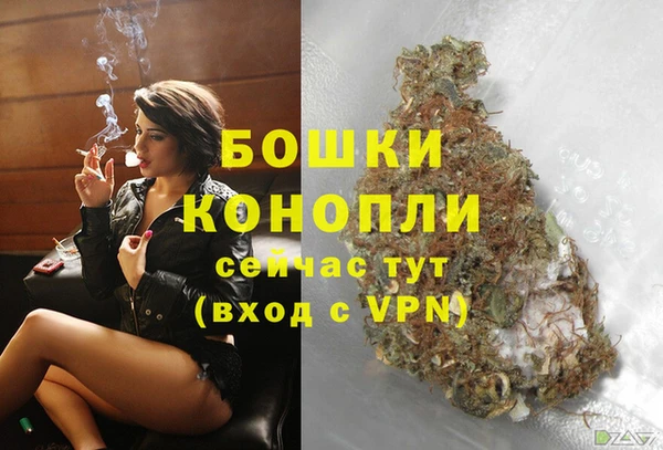 твердый Михайловск