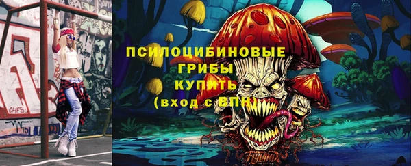 твердый Михайловск