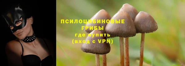 кокаин колумбия Михайлов