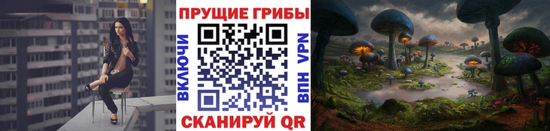 даркнет состав где найти Шимановск Псилоцибиновые грибы GOLDEN TEACHER